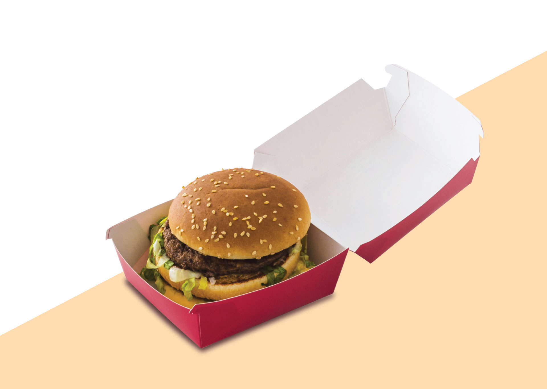 جعبه همبرگر با طراحی های مختلف
